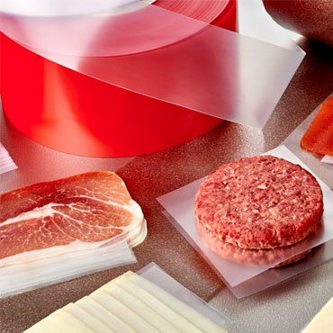 Promyde PA6 for Synthetic Sausage Casing Film